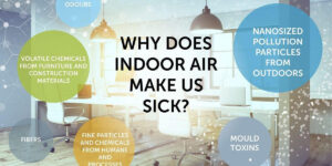 Fogiene Indoor Air Quality Test