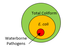 Why Fecal Coliform Testing Is Important?